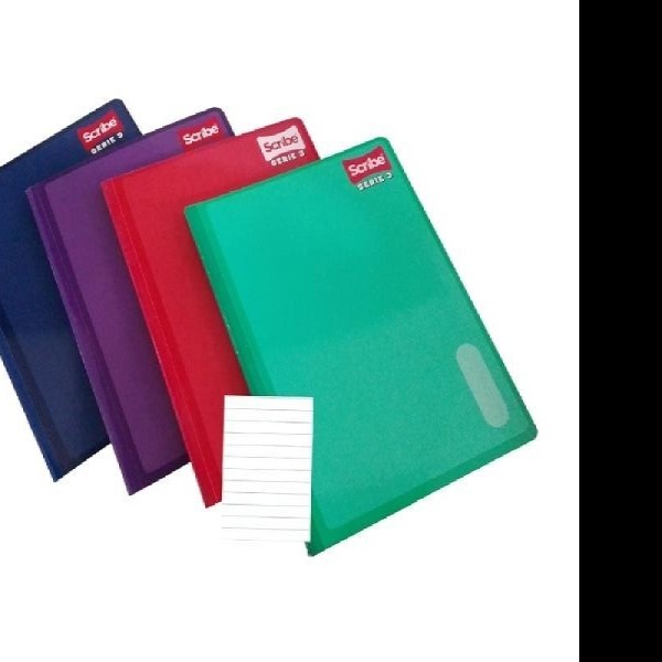 CUADERNO PROF. SERIE III SCRIBE 4300 RAYA COS. 100H C24